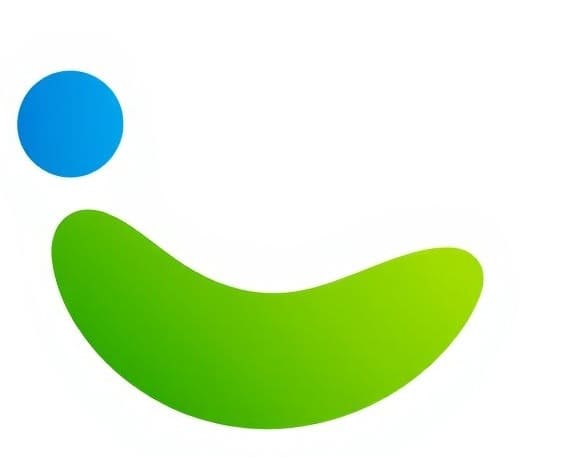 Partner 4